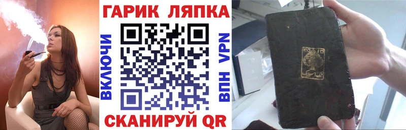 где купить наркоту  Северская  Гашиш индика сатива 