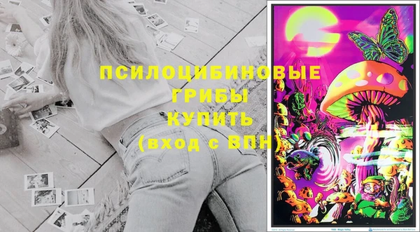 амф Богородицк