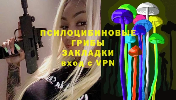 PSILOCYBIN Богородск