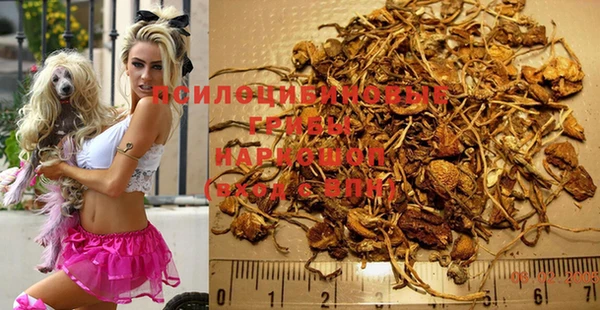амф Богородицк