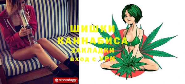 спайс Нея