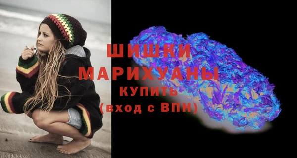 спайс Нея
