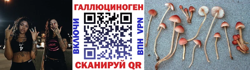 наркотики Северская нарко площадка клад Псилоцибиновые грибы GOLDEN TEACHER